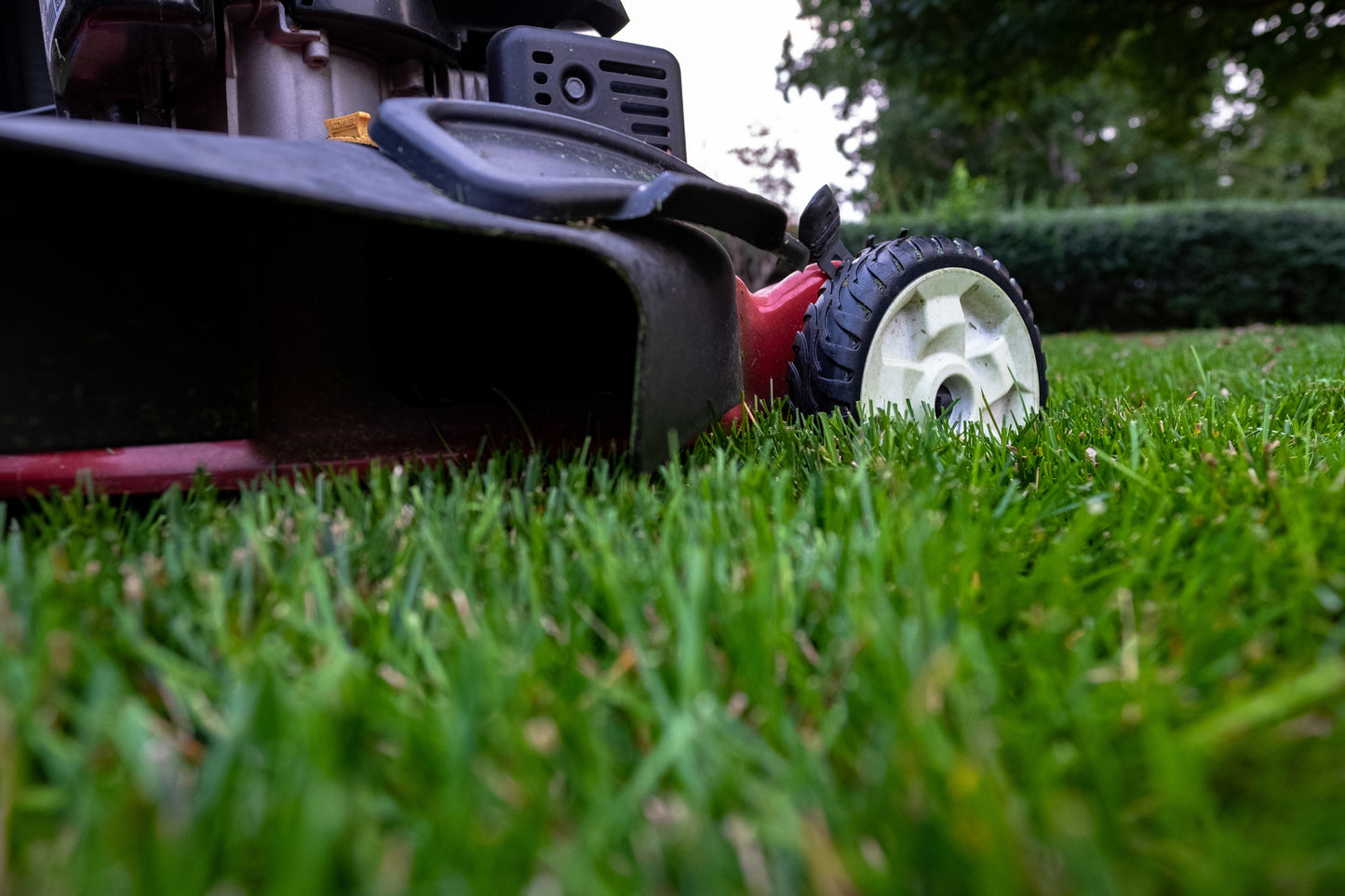 Lawn Mowing